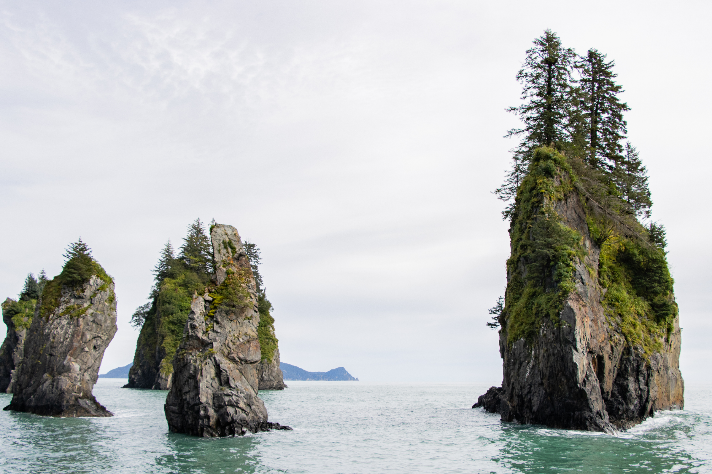 baby islands, alaska (4).webp